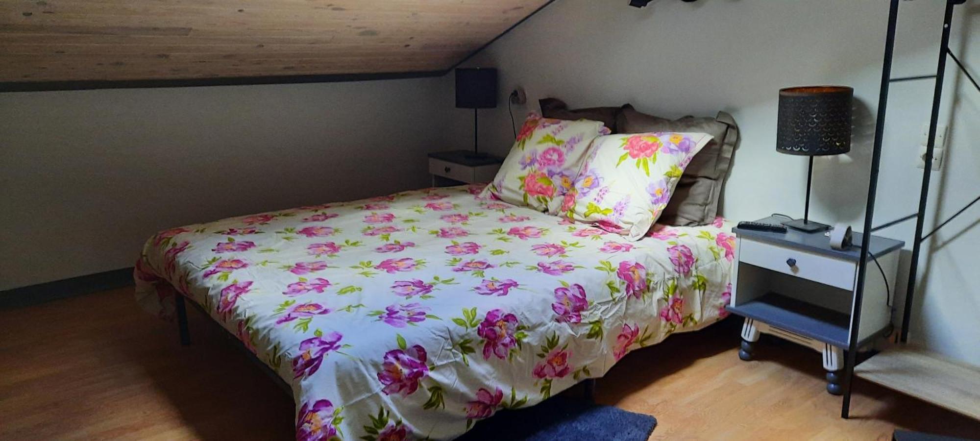 Bienvenue Chez Vous Apartment Le Puy-en-Velay Luaran gambar