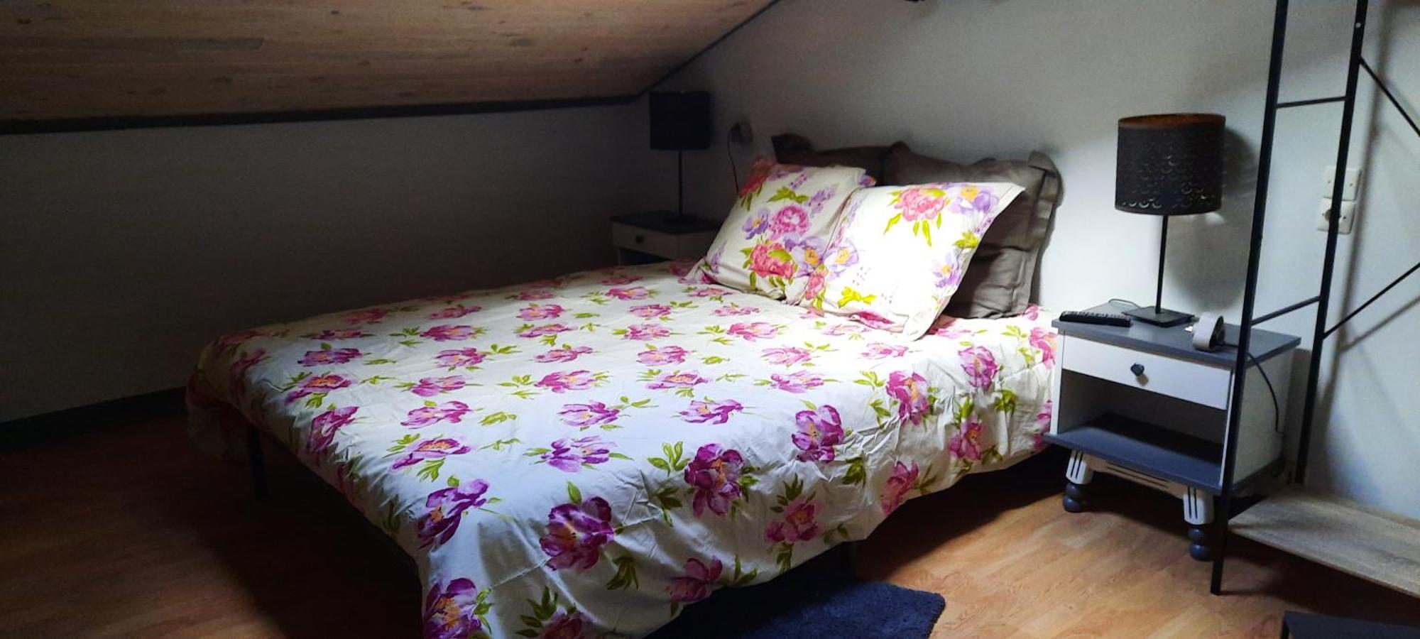Bienvenue Chez Vous Apartment Le Puy-en-Velay Luaran gambar